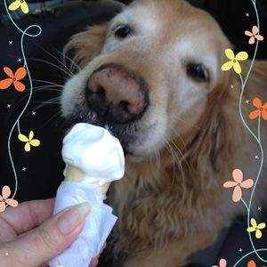 Meet your Posher, Liz